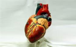 Heart-image