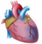 Pilot_program_in_TamilNadu